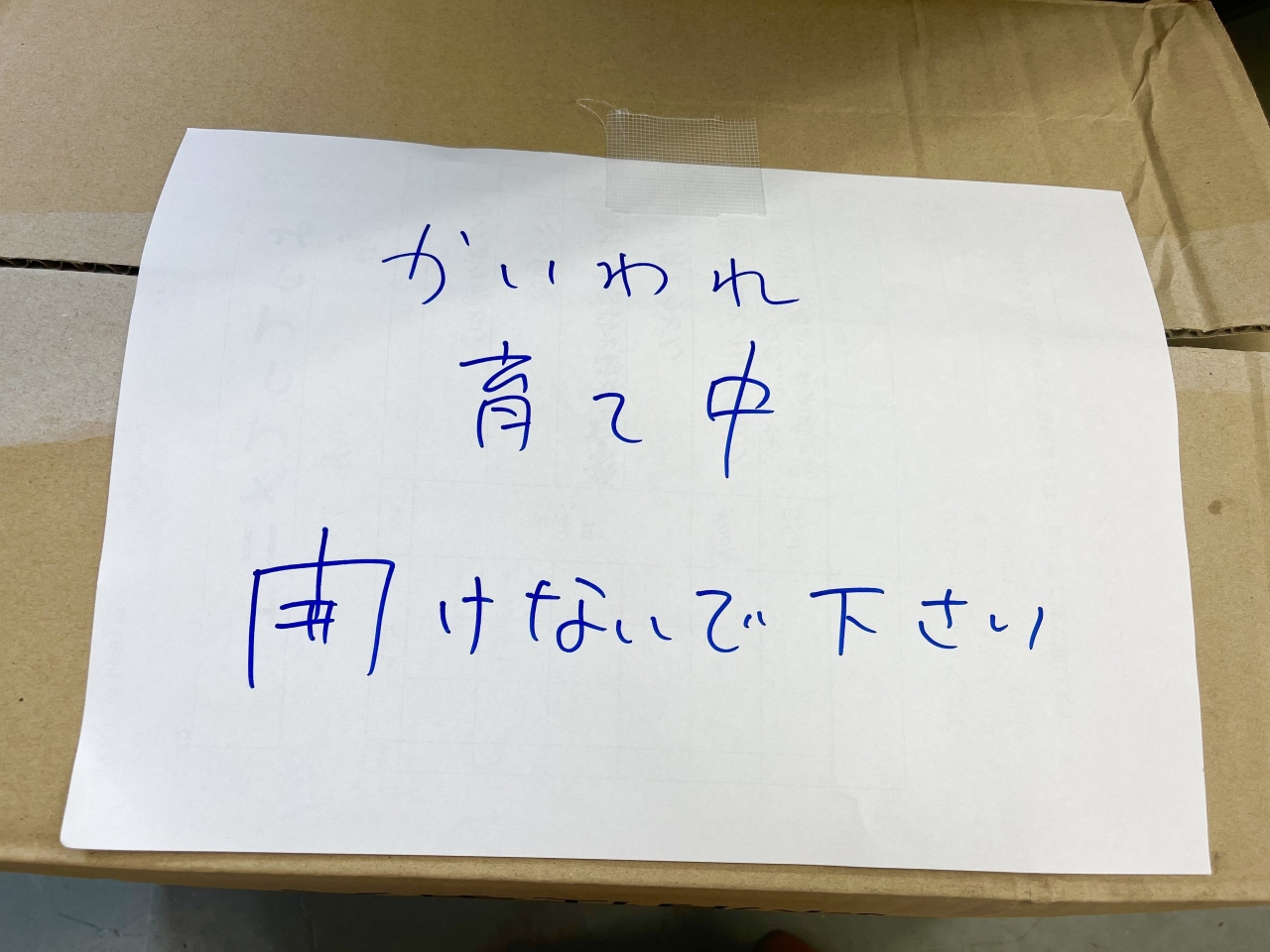 IMG_6076.jpeg