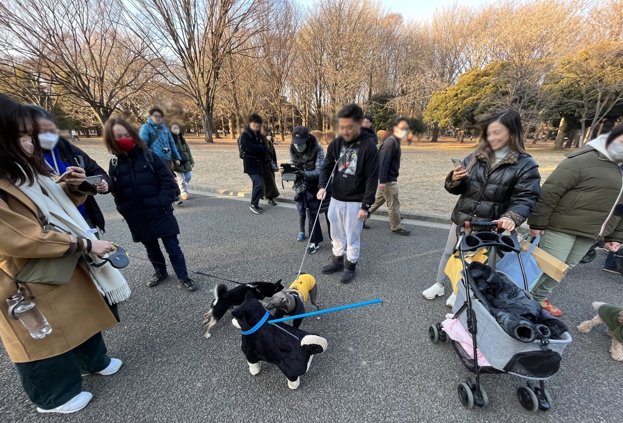 人だかり.jpeg