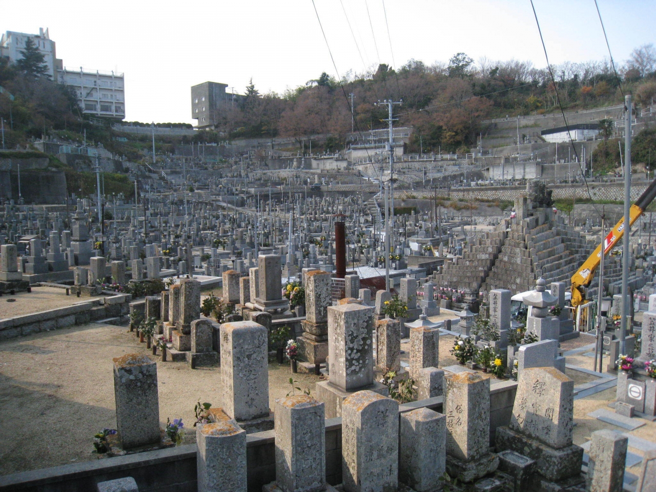 ishikawa_001.JPG