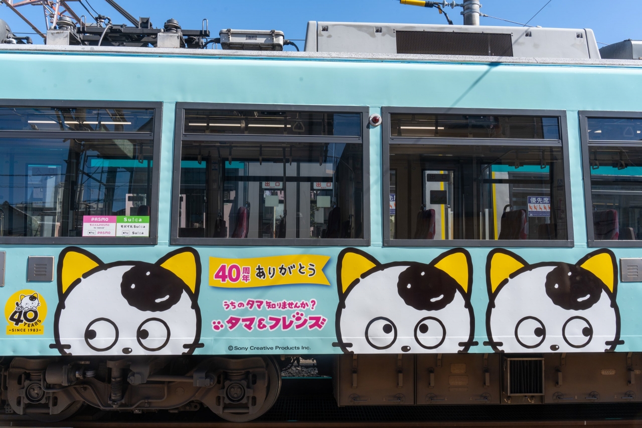 DSC07380.jpg