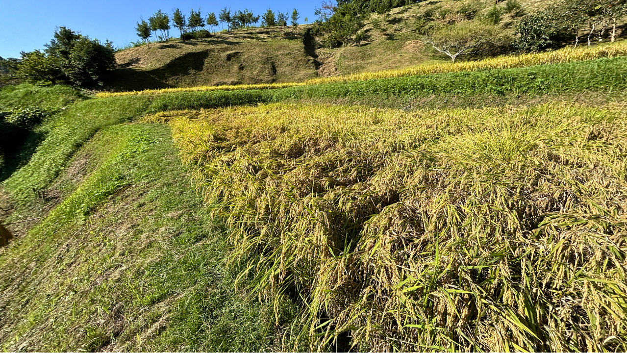 image14.png