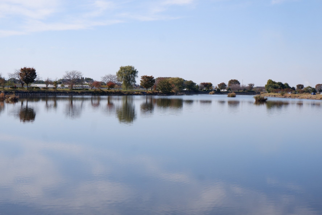 marsh_09.jpg