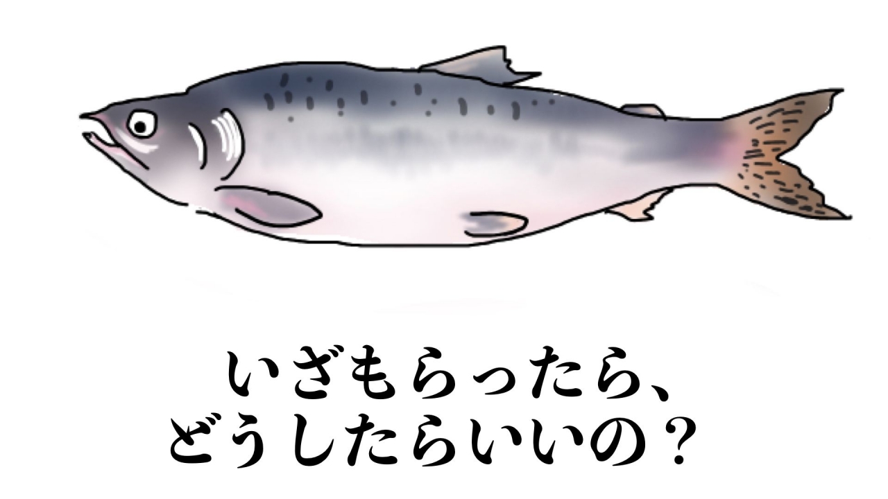 名称未設定2.002.jpeg