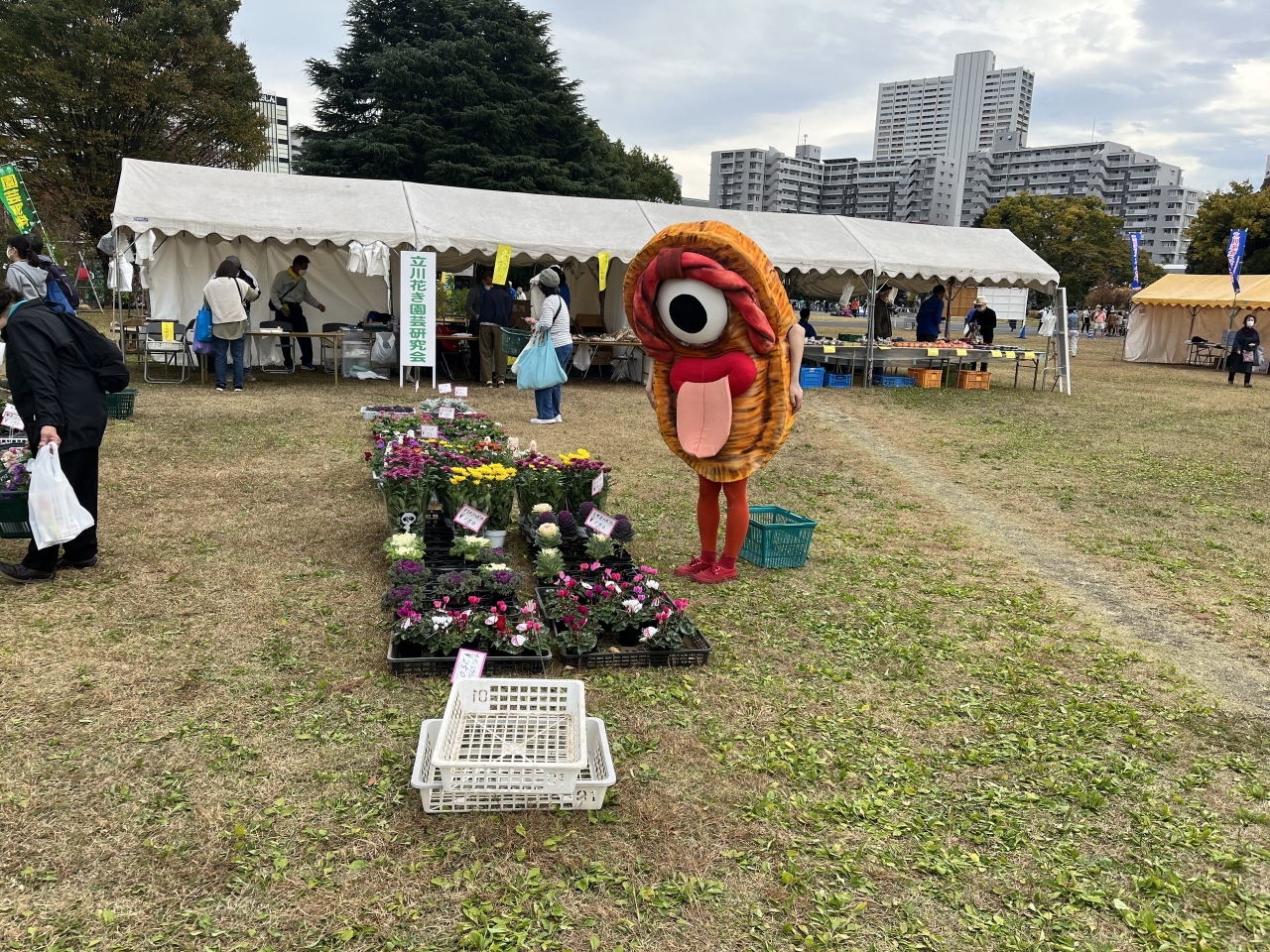 お花.jpeg