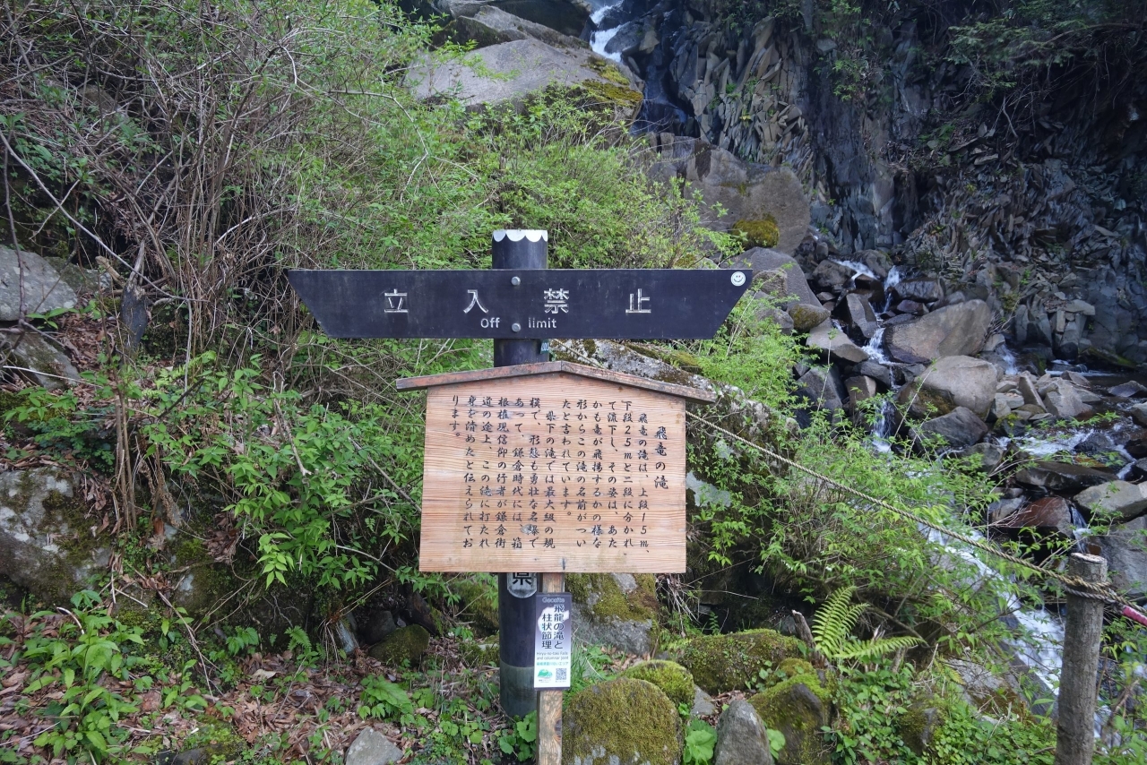 DSC02593.JPG