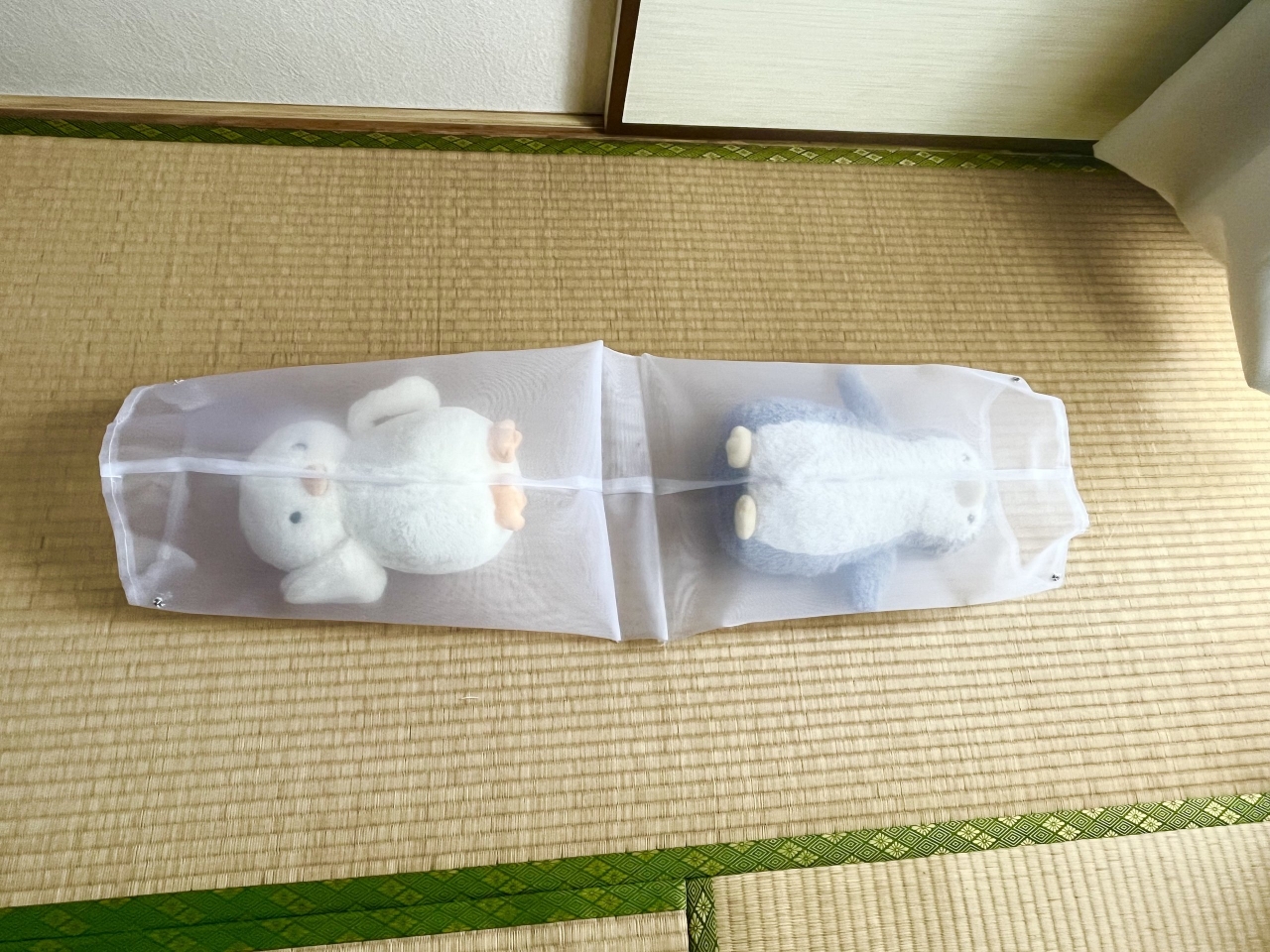IMG_5741.jpeg