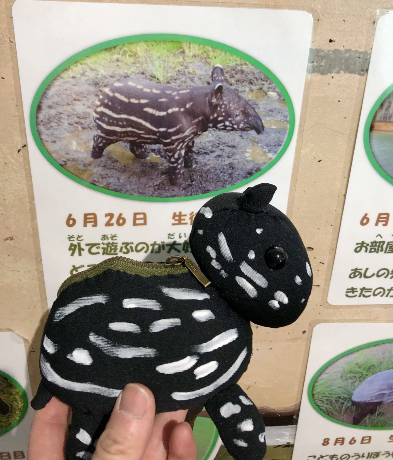 バックインバック.jpg