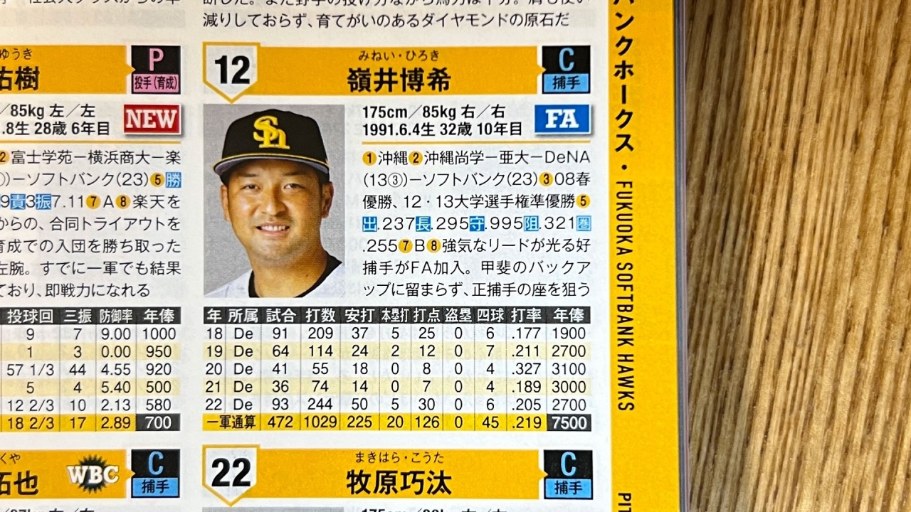 29.jpg