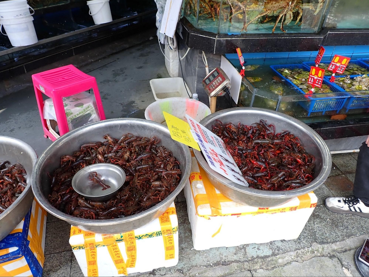 image_s005.jpg