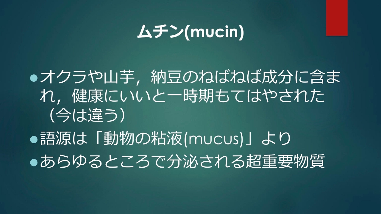 ムチン06.jpg
