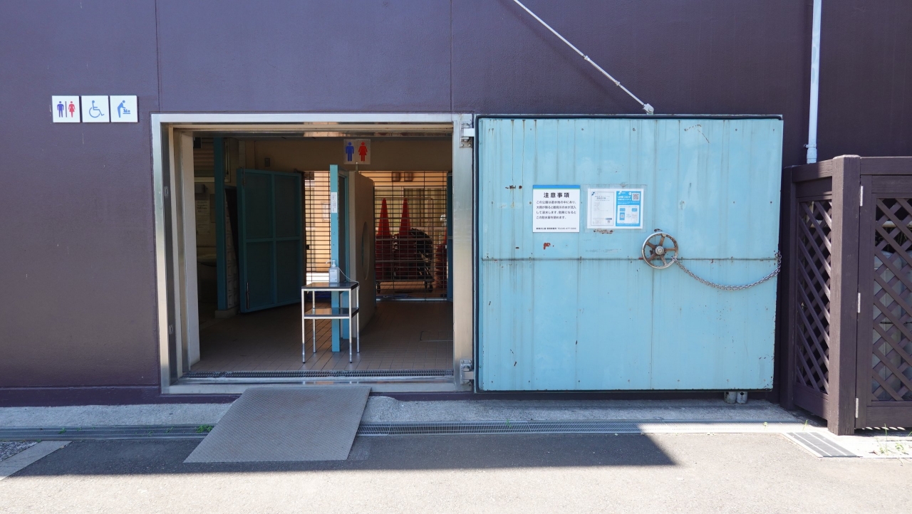 shinyoko_208.JPG