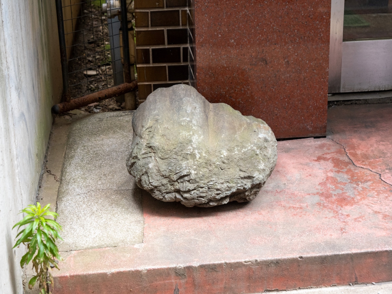 P1057028.jpg