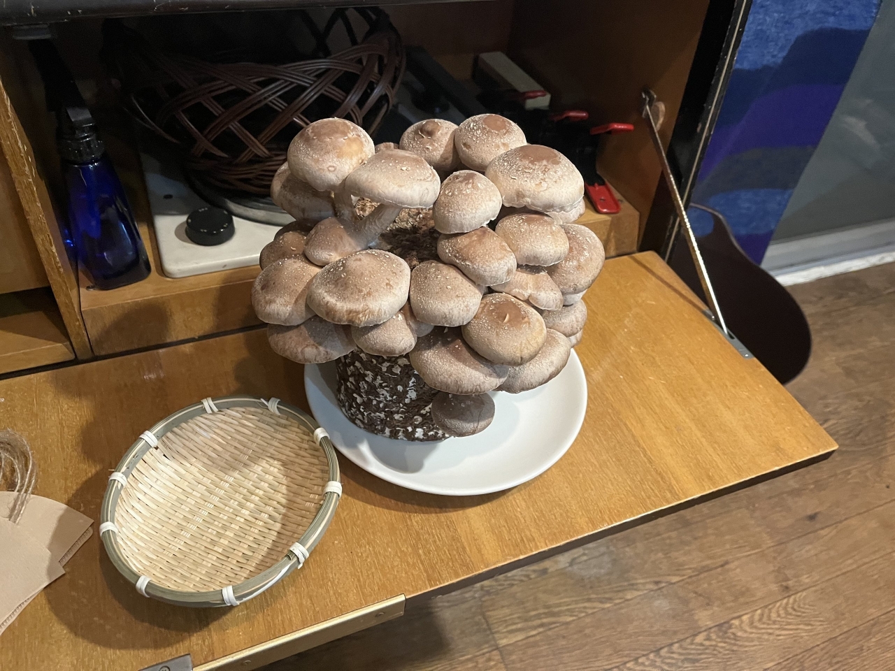 IMG_0734.jpeg