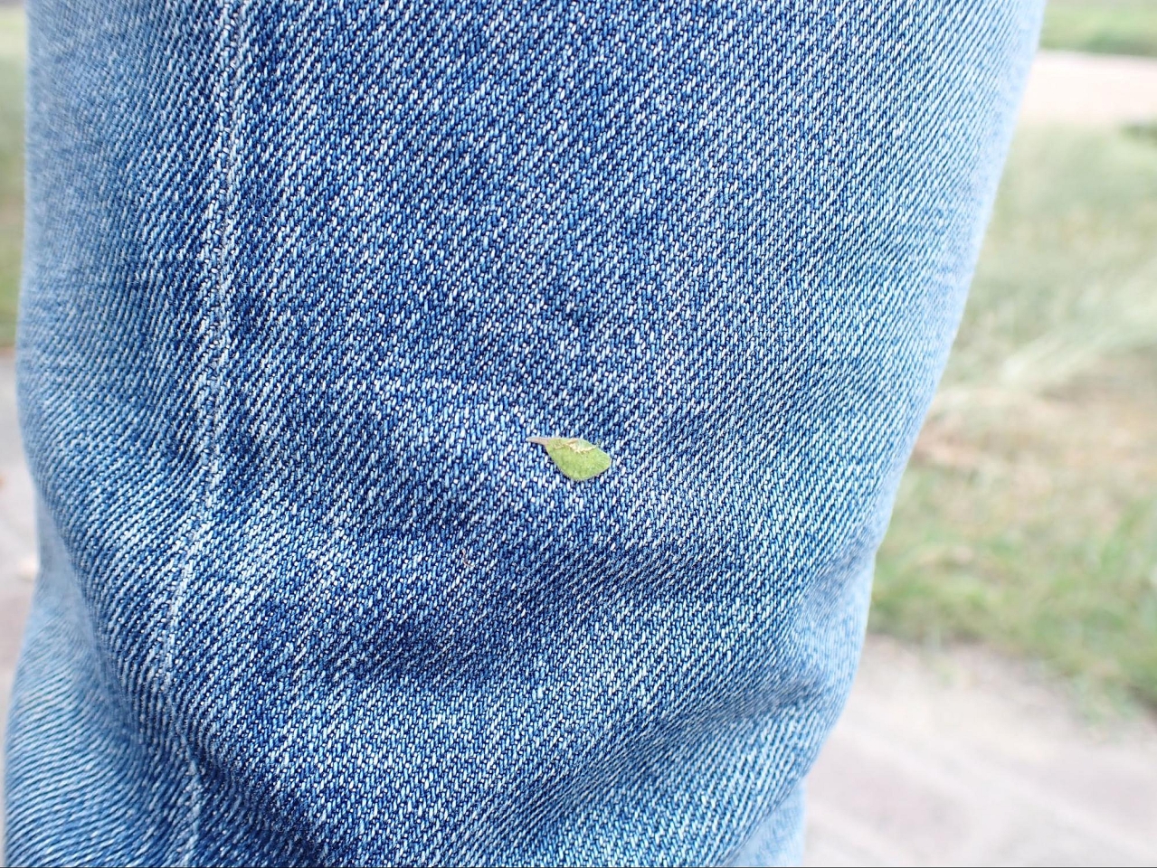 image29.jpg