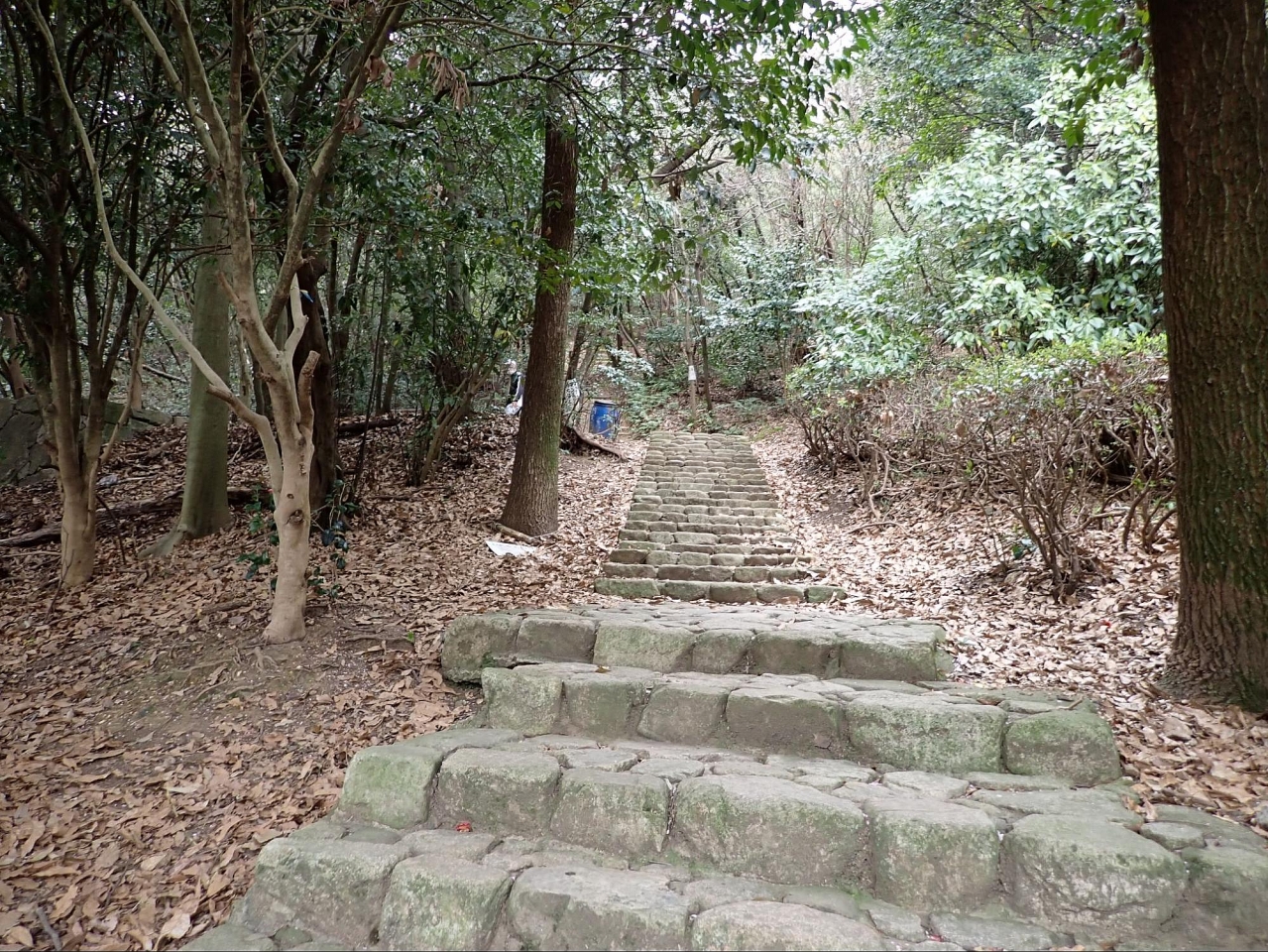 image37.jpg
