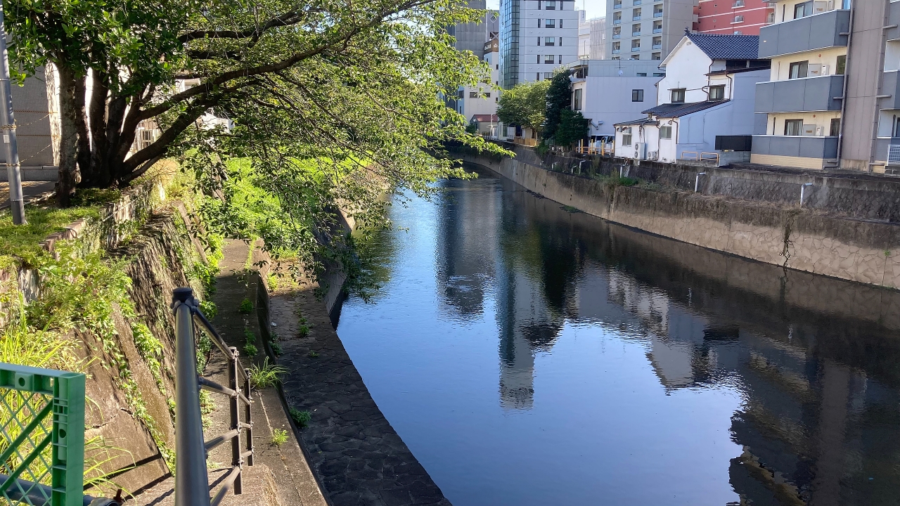 IMG_0510.jpeg