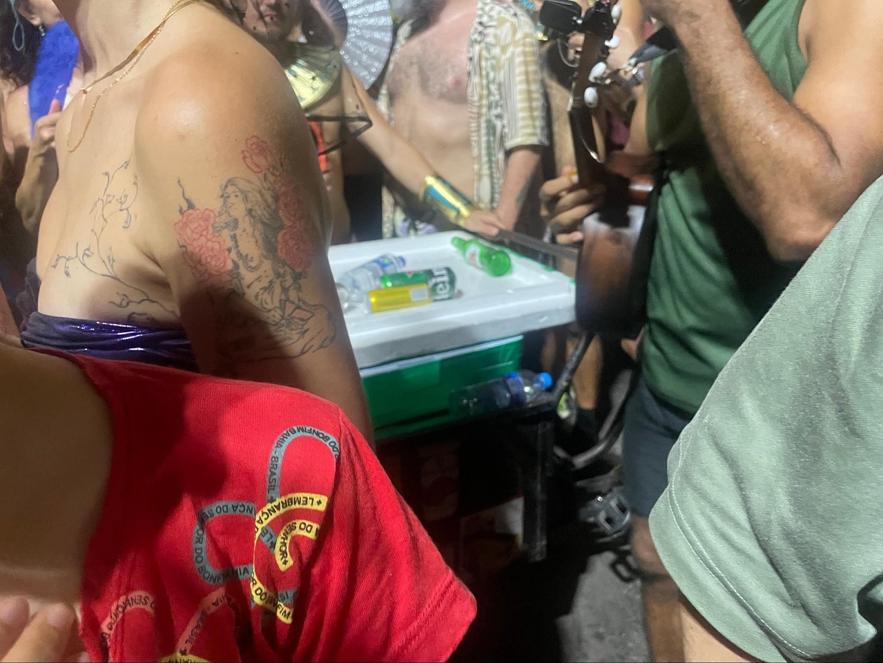 image_s010.jpg