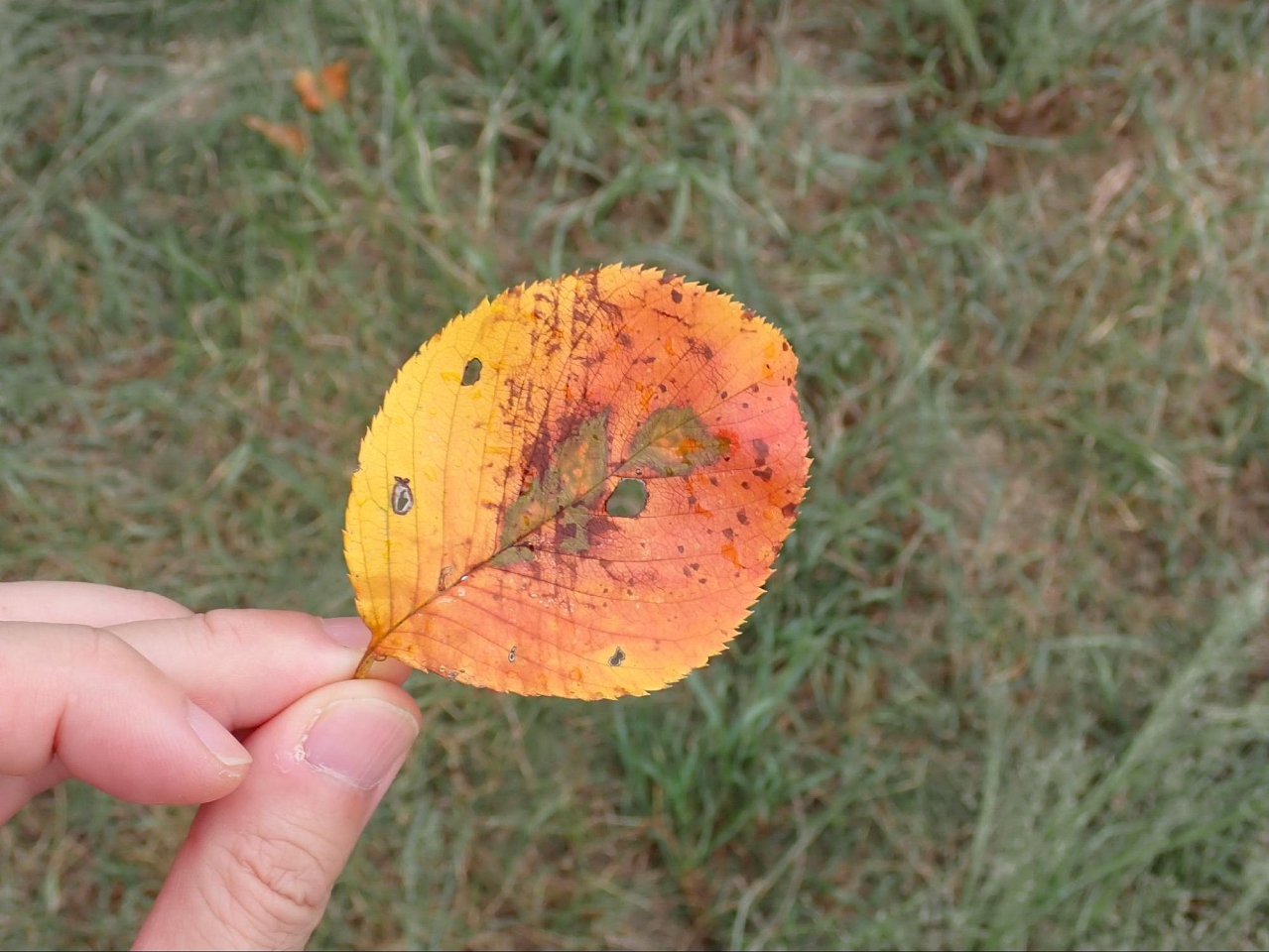 image18.jpg