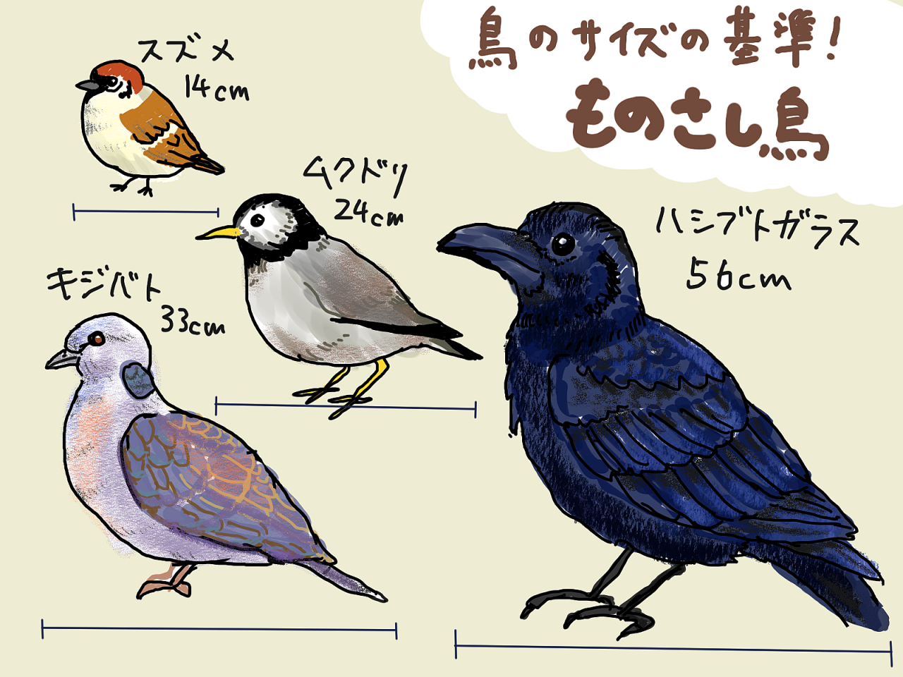 image_s019.png