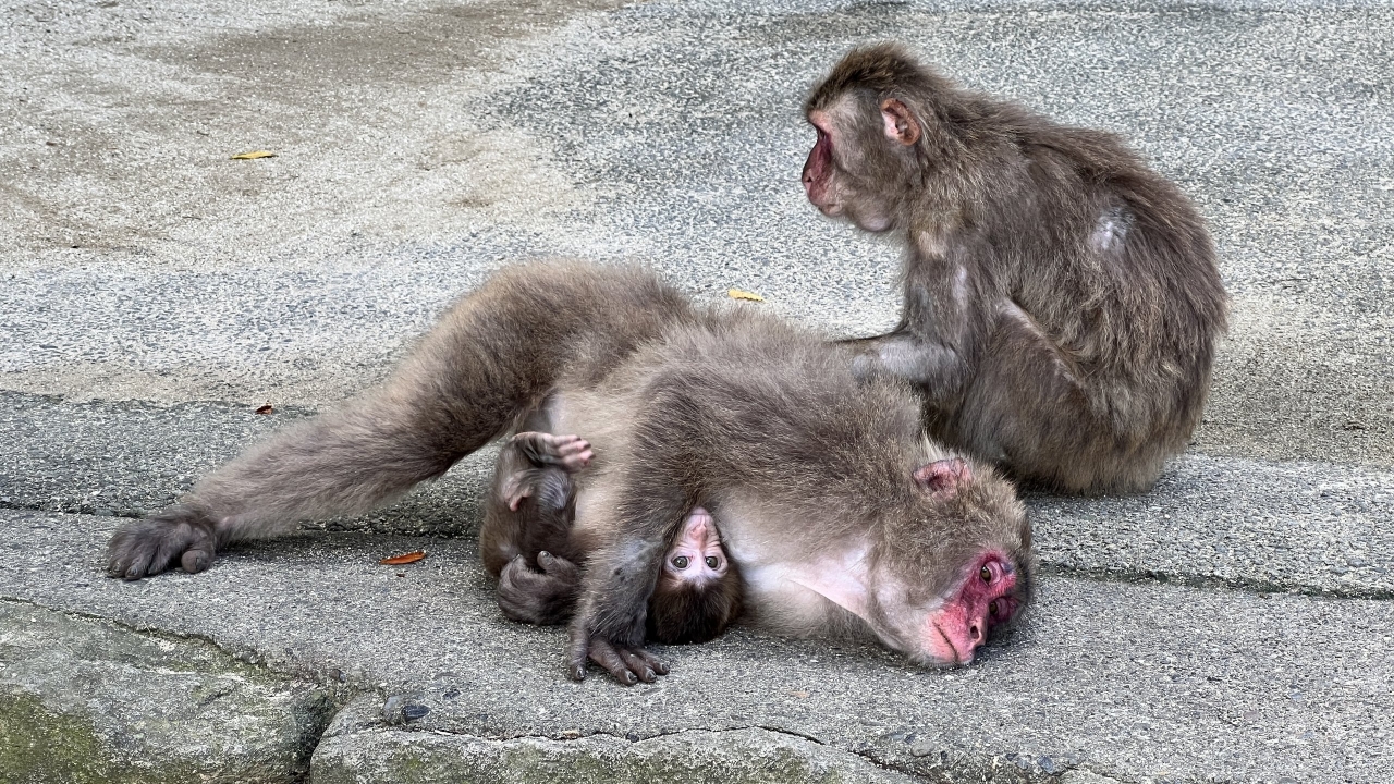 08_IMG_5010.JPG