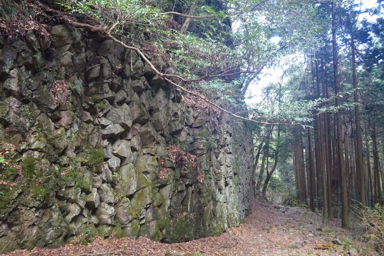 DSC02574.JPG
