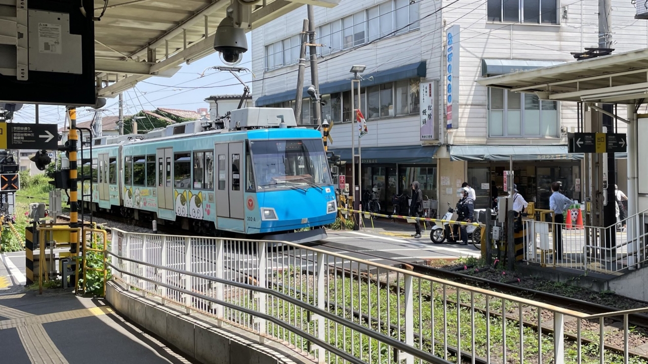 IMG_9432.JPEG