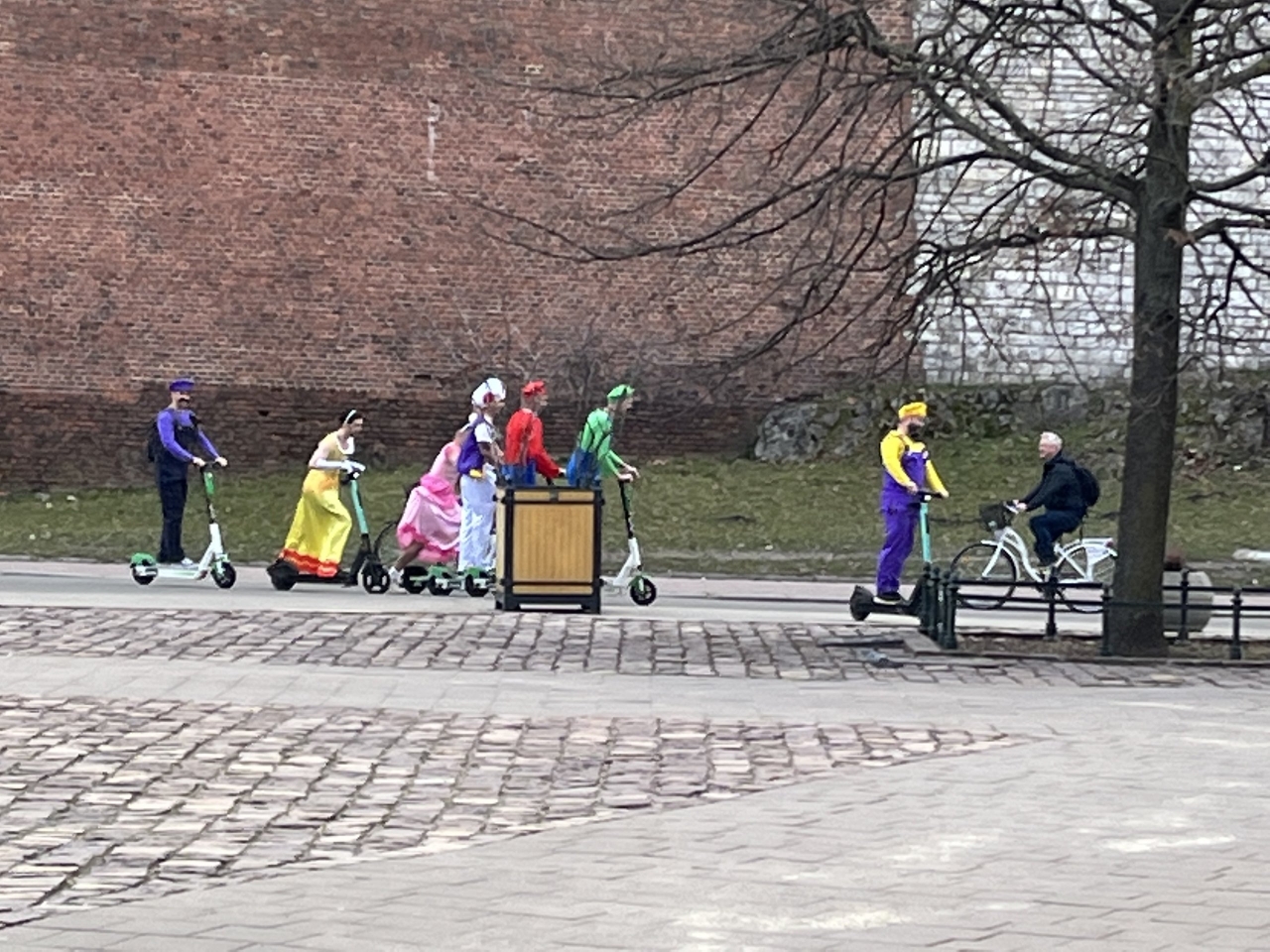 IMG_3336.jpeg