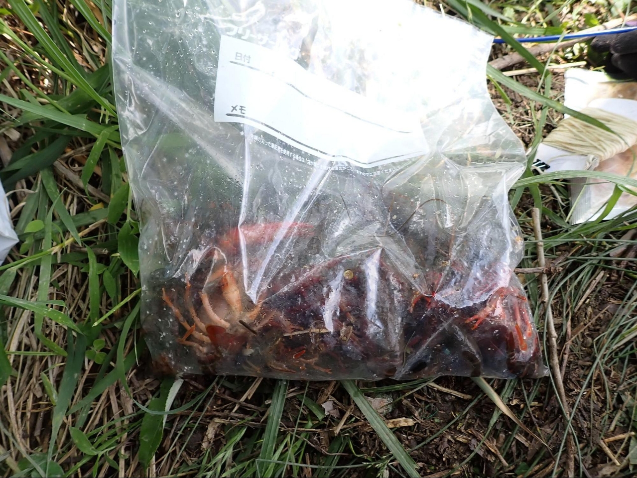 image_s018.jpg