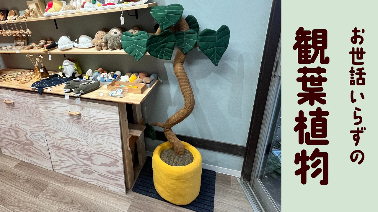 お世話いらずの観葉植物が欲しい　ぬいぐるみで作れば万事解決