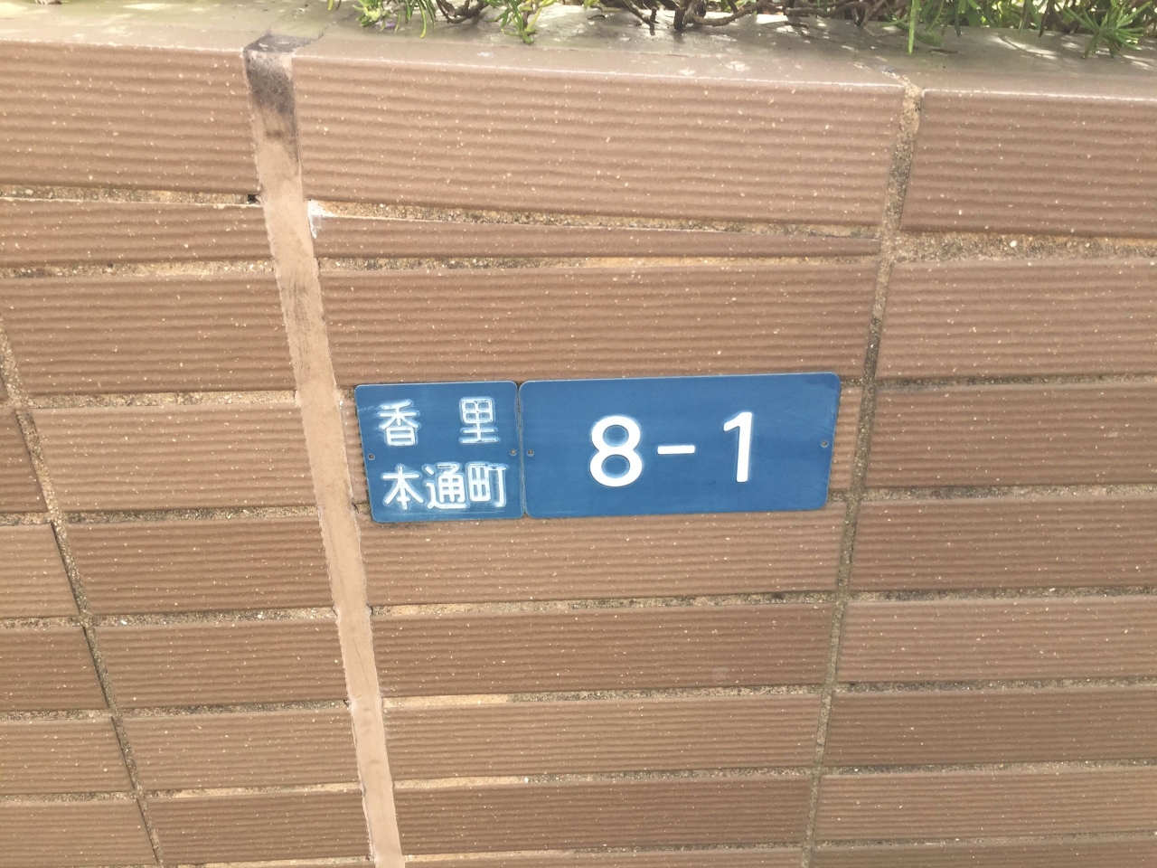 64.jpg