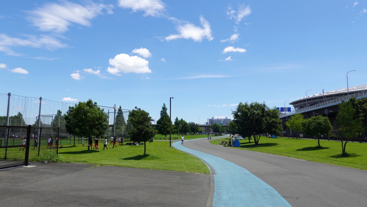 shinyoko_213.JPG