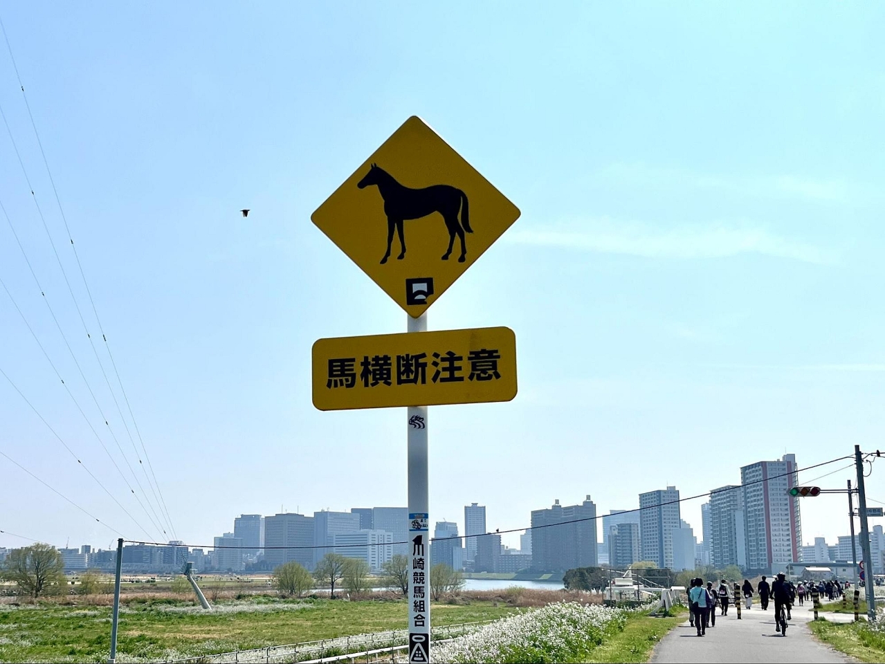 image_s023.jpg