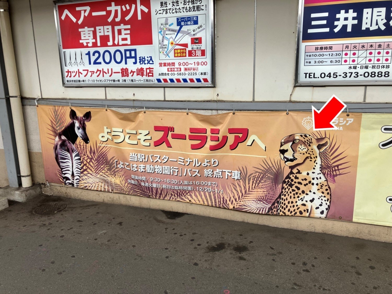 ヒョウ柄_3.jpg