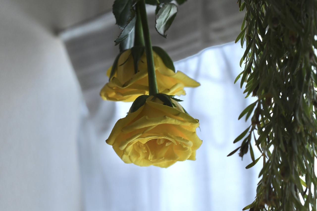 DSC_1410.jpg