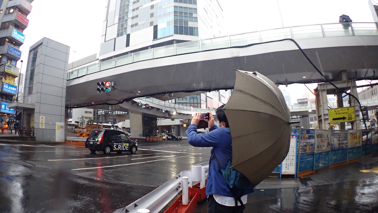 P3181545.JPG