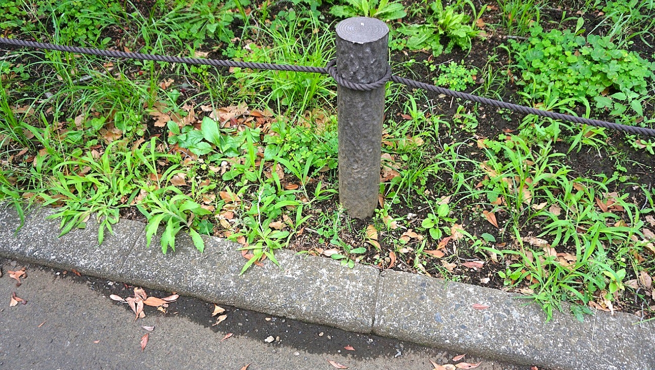 image25.jpg