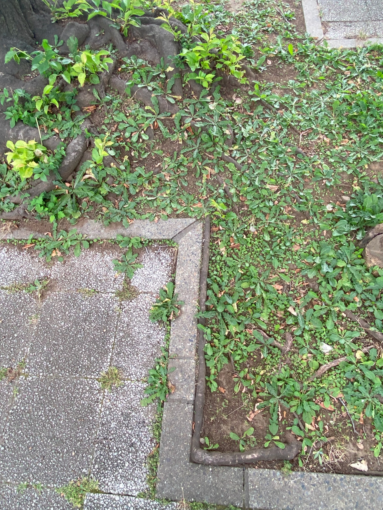 05-01.jpg