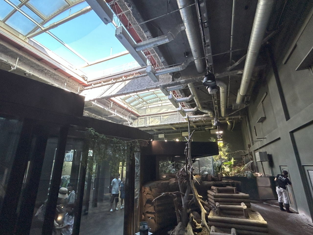 ガラス張りの天井で日光の射す明るい空間