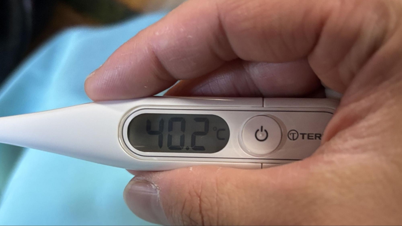 たい焼きをズル休みさせるために38℃にしたら食感が面白かった