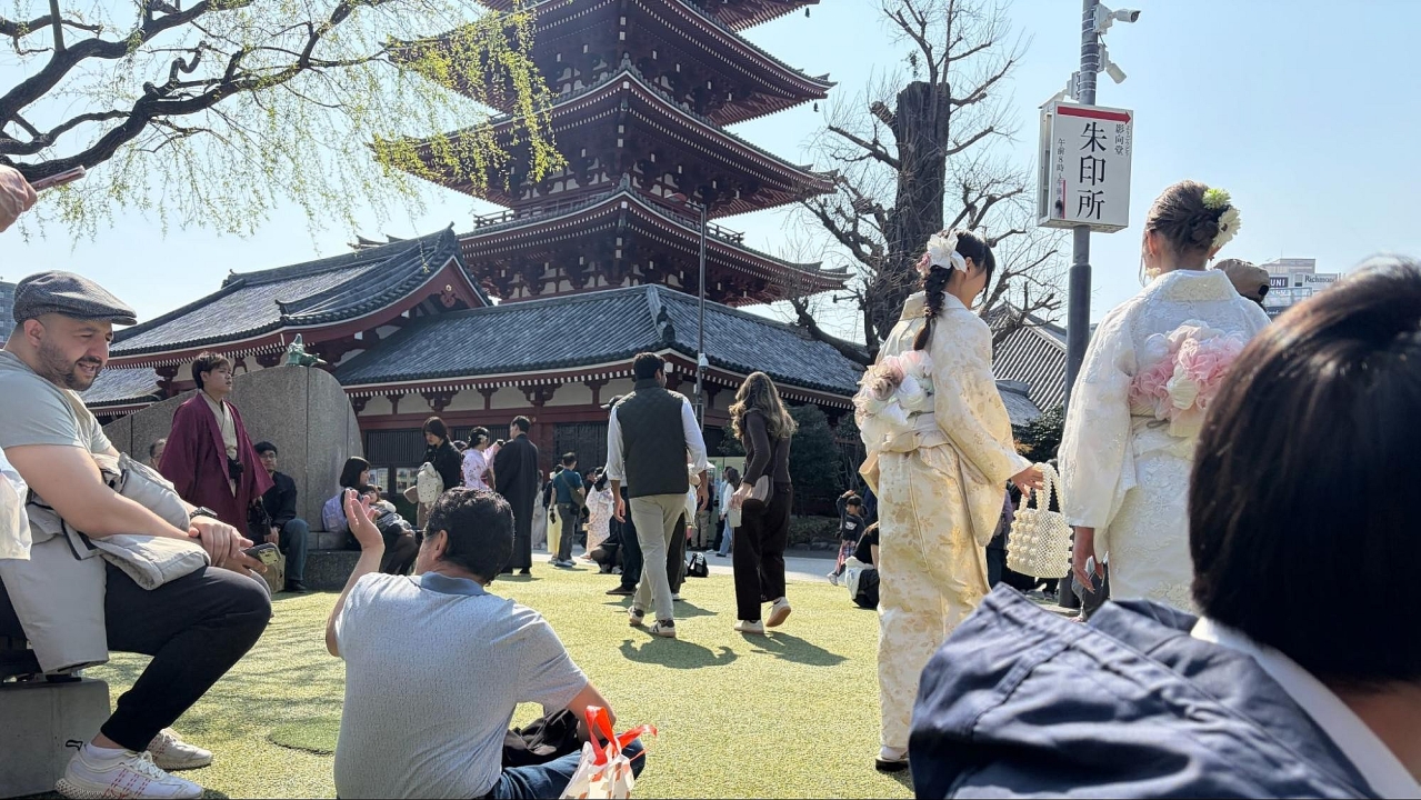image_s035.jpg