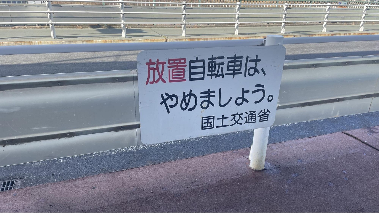 image1.jpg