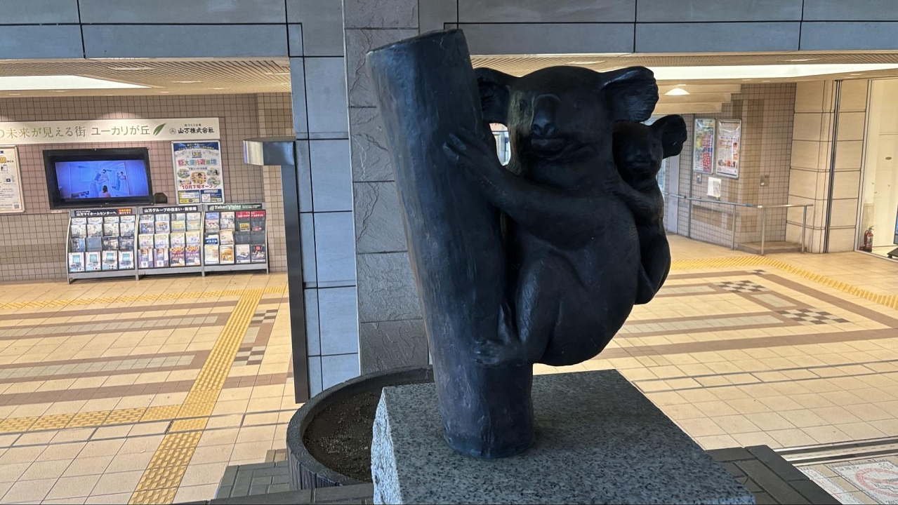 image6.jpg