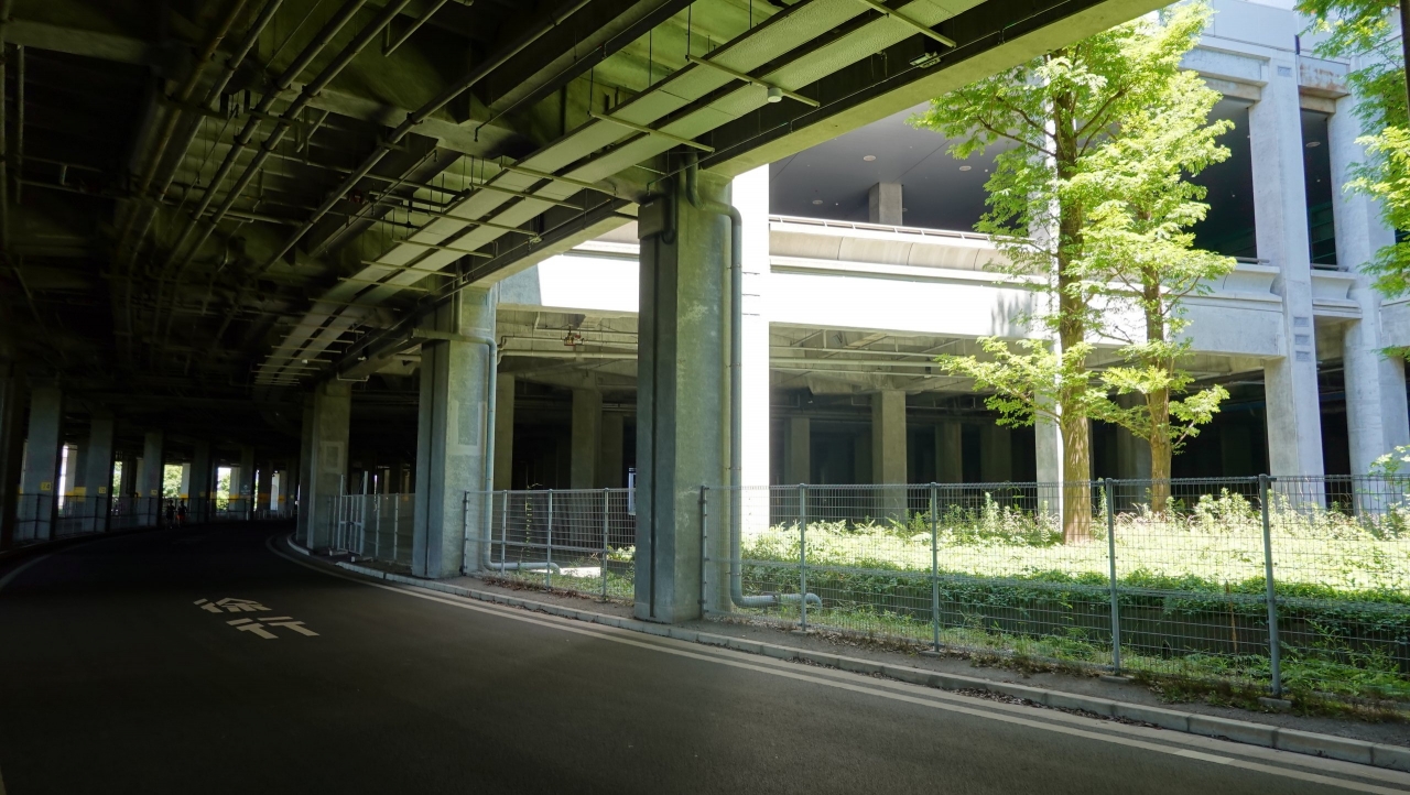 shinyoko_201.JPG
