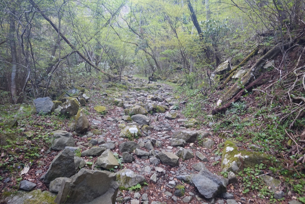 DSC02578.JPG
