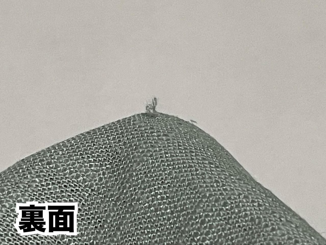 image4.jpg