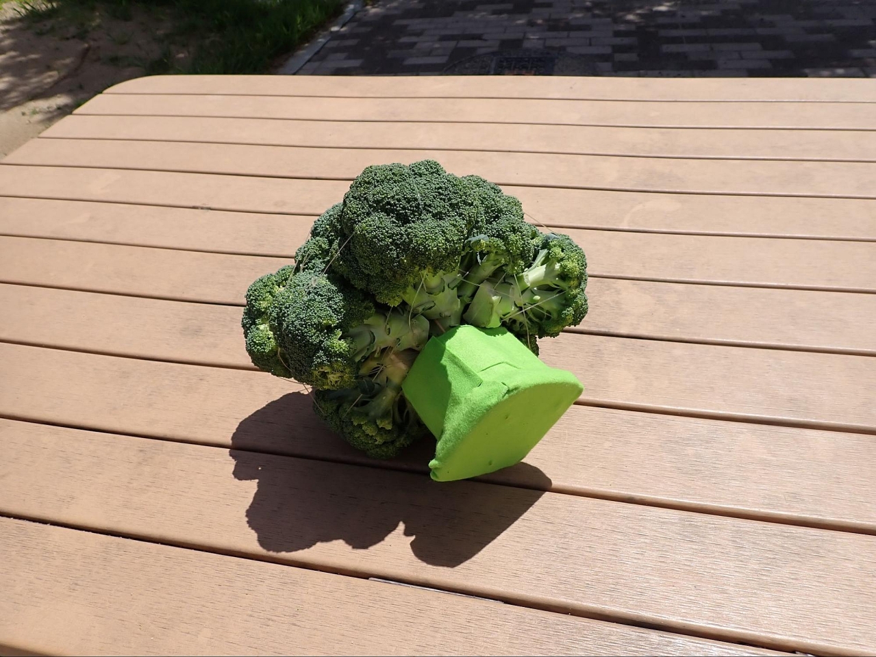 image8.jpg