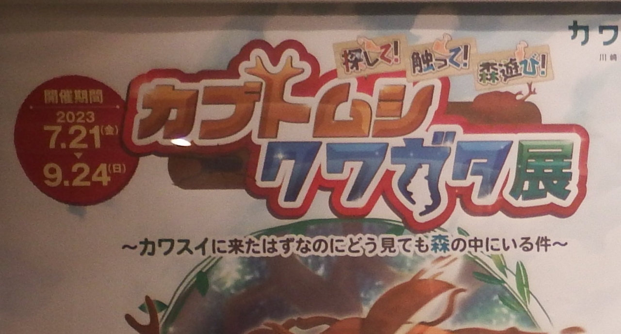カブトムシ・クワガタ展～カワスイに来たはずなのにどう見ても森の中にいる件～
