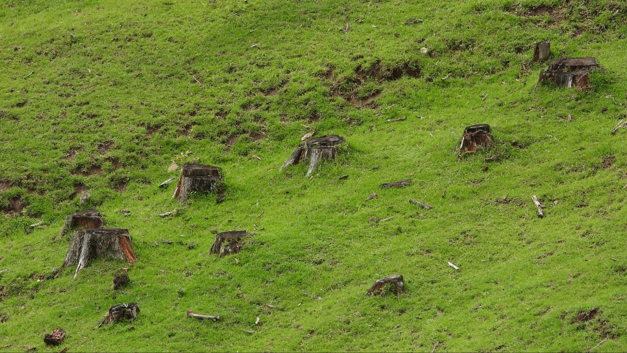 image8.jpg