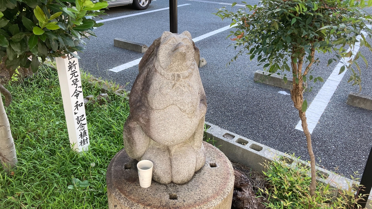 IMG_0500.jpeg