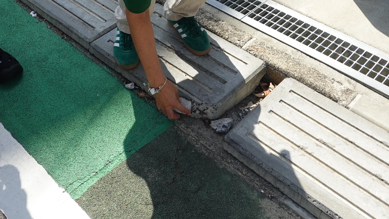 ishiishi_119.JPG